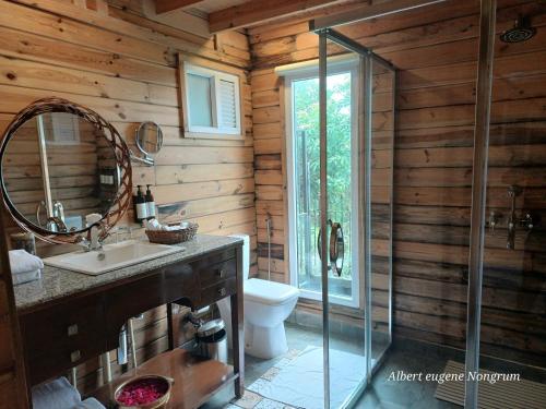 a bathroom with a toilet and a sink and a mirror at Polo Cherrapunjee Resort in Cherrapunji