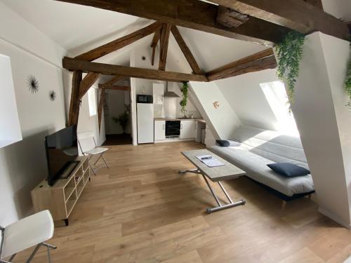 a large living room with a bed and a tv at La Champenoise La Tannerie in Troyes
