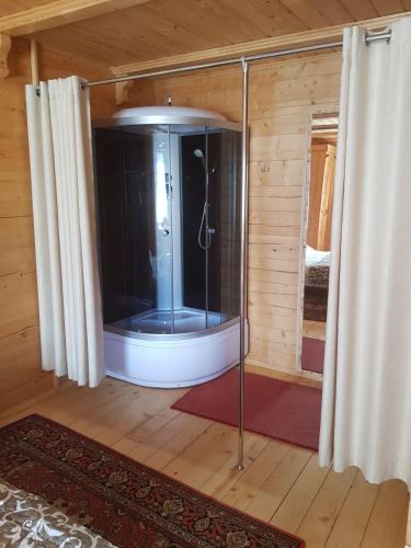 a room with a shower in a room with curtains at Dayarta in Skhidnitsa