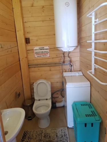a small bathroom with a toilet and a sink at Dayarta in Skhidnitsa
