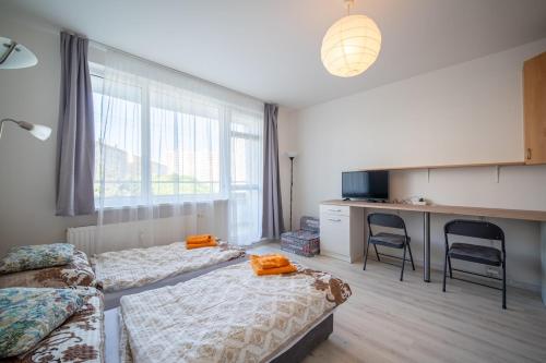 Cozy Studio Apartment