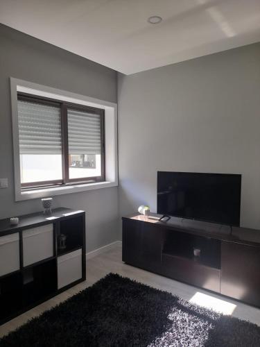 a living room with a flat screen tv and a black rug at Amorosa Apart in Amorosa