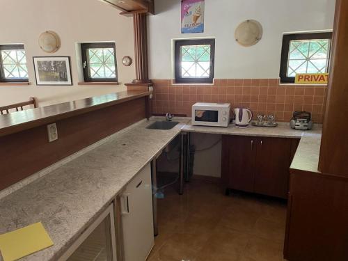 a kitchen with a counter top and a microwave at Penzion u Lesního pramene in Mariánské Lázně