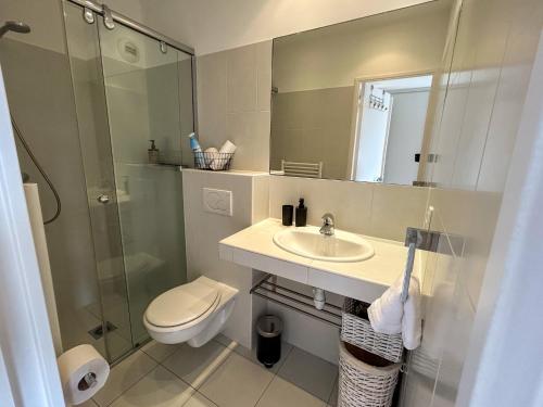 une salle de bain avec un lavabo, des toilettes et un miroir dans l'établissement La Bergerie - Modern villa with pool in private domain, à Saint-Paul-de-Vence