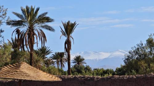 a resort with palm trees and a straw umbrella at kasba Harmony in Oulad Saïd