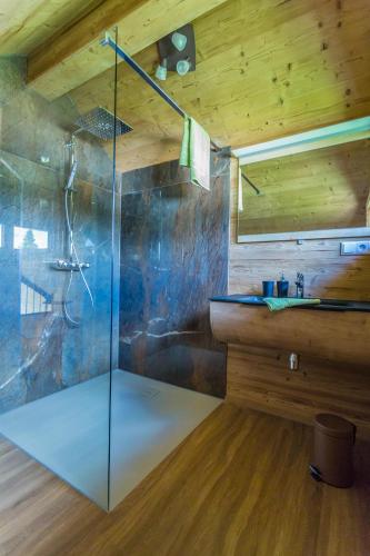 a bathroom with a glass shower with a sink at Chalet Hüttenzauber in Mehlmeisel