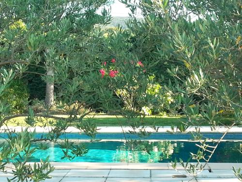 Maison de charme en Luberon à proximité de Lourmarin piscine privée et grand jardin