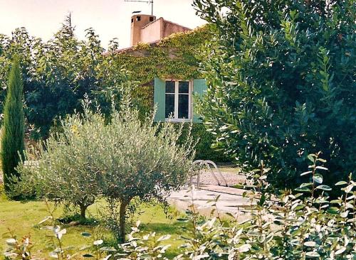 un jardin avec une maison avec un arbre et une fontaine dans l'établissement Maison de charme en Luberon à proximité de Lourmarin piscine privée et grand jardin, à Puyvert