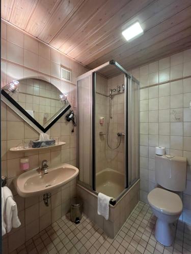 a bathroom with a shower and a sink and a toilet at Rodes Hotel und Restaurant in Rehburg-Loccum