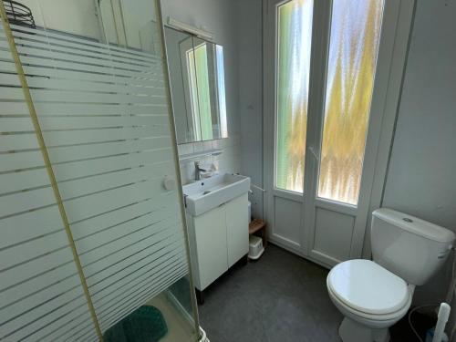 une salle de bain avec toilettes, lavabo et douche dans l'établissement Maison Familiale - Plage privée, à Carqueiranne