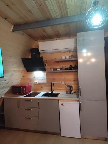 a kitchen with a white refrigerator and a sink at Cottege Merisi's Side in Merisi