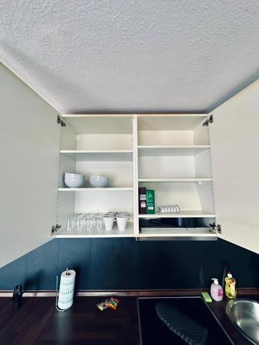 a kitchen with white shelves and a sink at FeWo Am Waldhügelsee II Balkon & Tolle Lage in Rheine