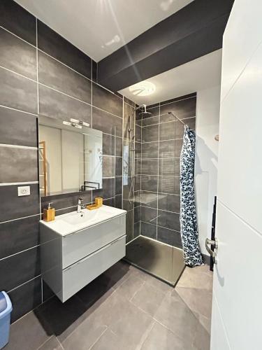 une salle de bain avec un lavabo et une douche dans l'établissement L'Atelier, calme et charmant, à Limoges