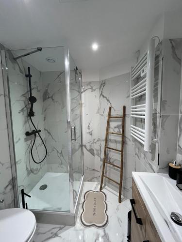 une salle de bain avec douche et toilettes et une échelle dans l'établissement Studio 3-4 personnes proche du port, à Nice