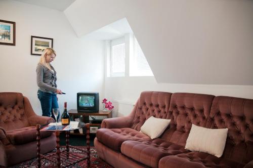 TV a/nebo společenská místnost v ubytování Pension Villa Maria