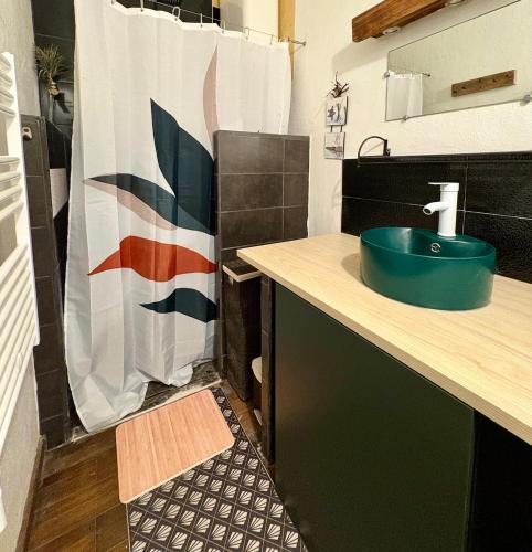 une salle de bain avec un lavabo et un rideau de douche dans l'établissement Valras-Plage 6 personnes à Deux Pas de la Mer, à Valras-Plage