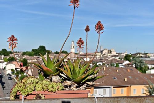 Vue générale sur Viadana ou vue de la ville depuis l'appartement