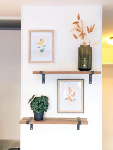 une étagère avec deux photos et une plante en pot dans l'établissement Quiet Intramuros Studio in Secure Residence, à Avignon