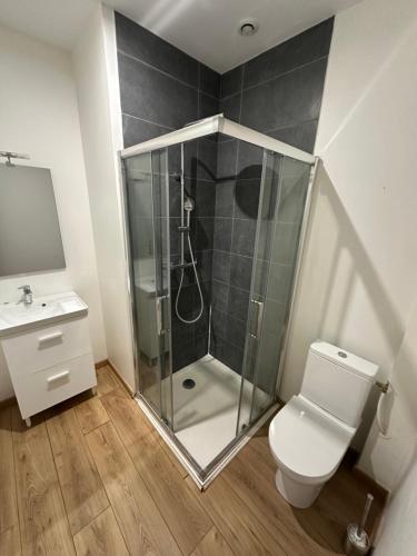 une salle de bain avec une douche, des toilettes et un lavabo dans l'établissement Chambres 20m2, SDB PV, Centre, WIFI, Appart 160m2, à Tourcoing