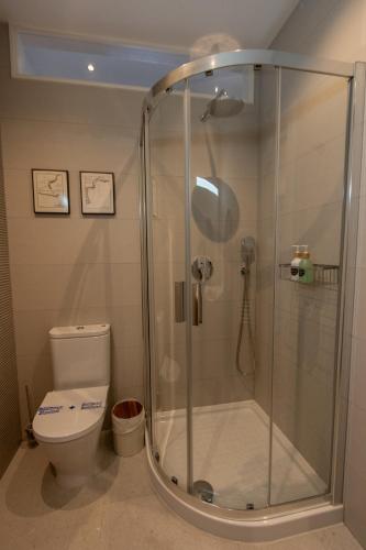 a shower stall in a bathroom with a toilet at Suite Haus Castelar in Santander