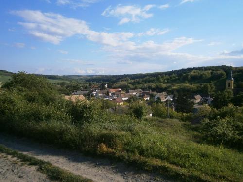 a view of a small town from a hill at Árpád Ház in Alsónána