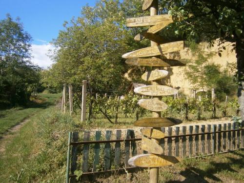 a directional sign in front of a vineyard at Árpád Ház in Alsónána