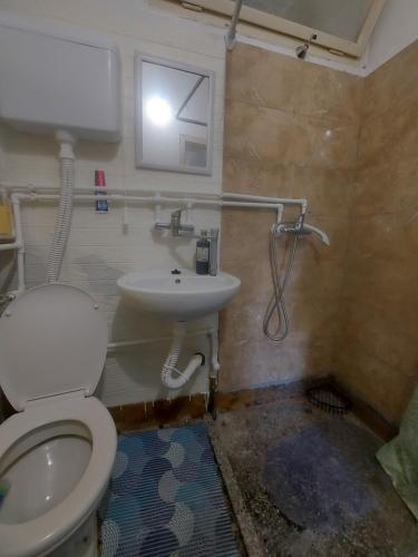 a bathroom with a toilet and a sink at Smeštaj Gokčanica in Gokčanica