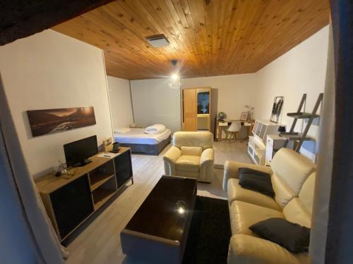 un soggiorno con divano e TV di La petite Maison a Toulon-sur-Arroux