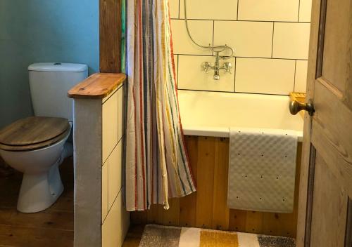 a bathroom with a toilet and a tub with a shower curtain at Eco-friendly Cornish sanctuary in Penzance