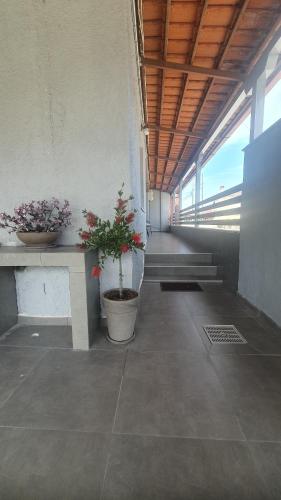 a hallway with two potted plants in a building at Villa Katerina in Polykárpion