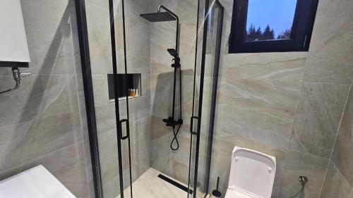 une salle de bains avec toilettes et cabine de douche en verre dans l'établissement Durmitor Summit, à Žabljak