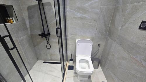 ein Badezimmer mit Toilette in einer Duschkabine in der Unterkunft Durmitor Summit in Žabljak