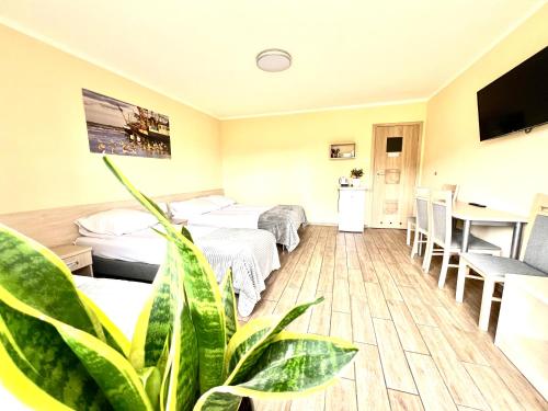 een hotelkamer met twee bedden en een plant bij Ośrodek rodzinny "Pod Wydmami" PRZY PLAŻY , PLAC ZABAW , ROWERY in Sarbinowo