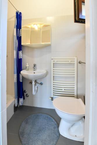 a small bathroom with a toilet and a sink at House Turkalj in Grabovac