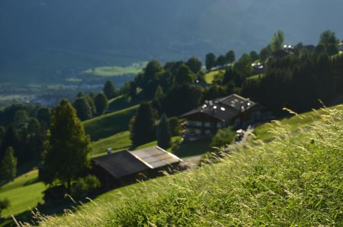 a house on the side of a grassy hill at Hof Hamoos in Kitzbühel