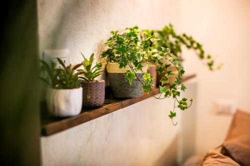 a row of potted plants sitting on a wall at 10FLOOR Private Parking in Como