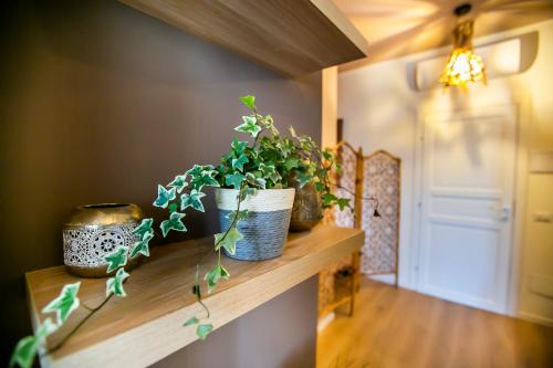 two potted plants on a wooden shelf in a room at 10FLOOR Private Parking in Como
