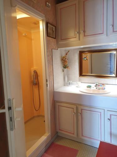 une salle de bain avec un lavabo et une douche dans l'établissement Chez Danièle - Maison au cœur du village de Lalbenque, à Lalbenque