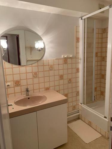 une salle de bain avec un lavabo, une douche et un miroir dans l'établissement Appartement, à Préfailles
