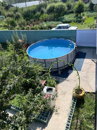 Πισίνα στο ή κοντά στο Boria House