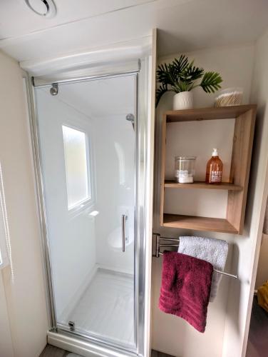 une salle de bain avec une douche avec une porte vitrée dans l'établissement gite la campagne doré, à Tour-en-Bessin