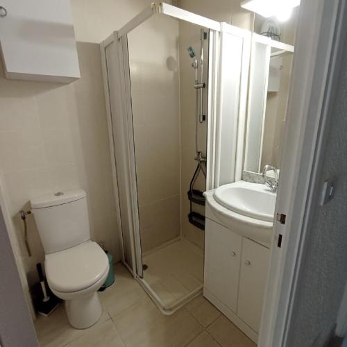 une petite salle de bain avec toilettes et lavabo dans l'établissement 3CPF29 Appartement avec jardinet et parking, proche centre-ville, à Collioure