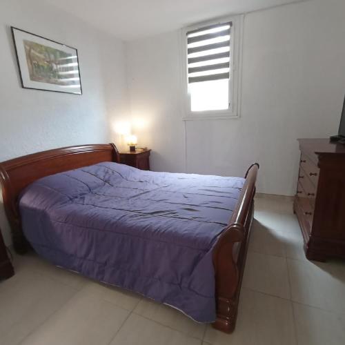 une chambre avec un lit avec une couette bleue et une fenêtre dans l'établissement 3CPF29 Appartement avec jardinet et parking, proche centre-ville, à Collioure