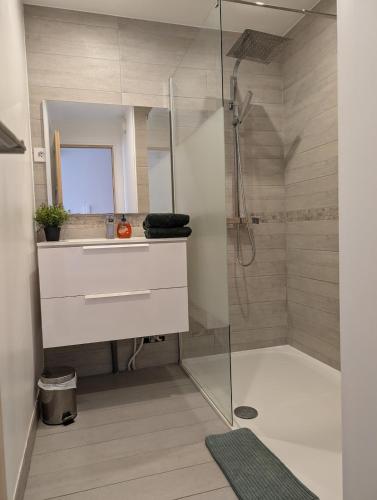une salle de bain avec une douche avec un lavabo et un miroir dans l'établissement Agréable appartement plages et hypercentre, à Antibes