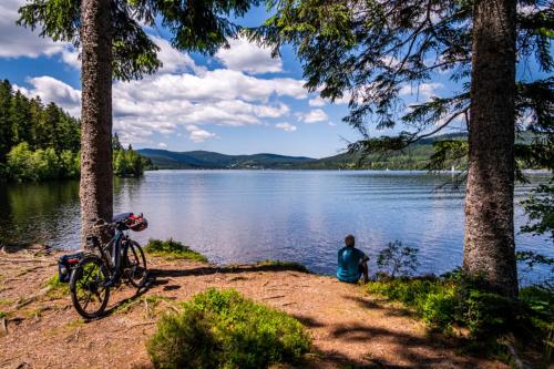 a man sitting on the shore of a lake with a bike at Apartment "Blackforest", Todtnau, 5 Schlafzimmer in Todtnau