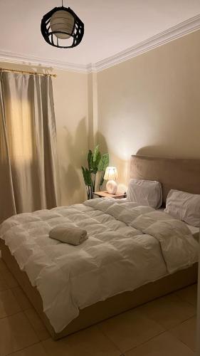 2 BR apartment near airport