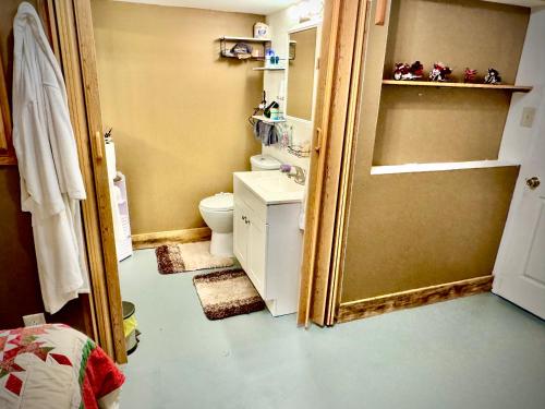 Comfortable one bedroom basement apartment in the woodsにあるバスルーム