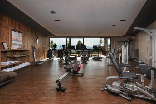 Fitness centrum a/nebo fitness zařízení v ubytování Chalet Mirabell