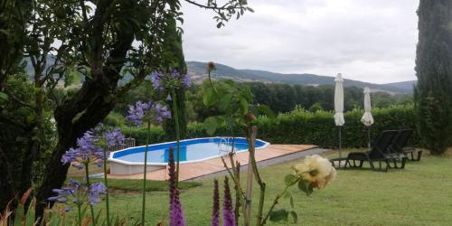 a garden with a swimming pool and some purple flowers at Casale la COLLINA DEI CILIEGI in Acquapendente