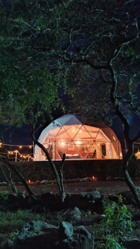 Κήπος έξω από το El Gato Glamping con vista a prismas basálticos